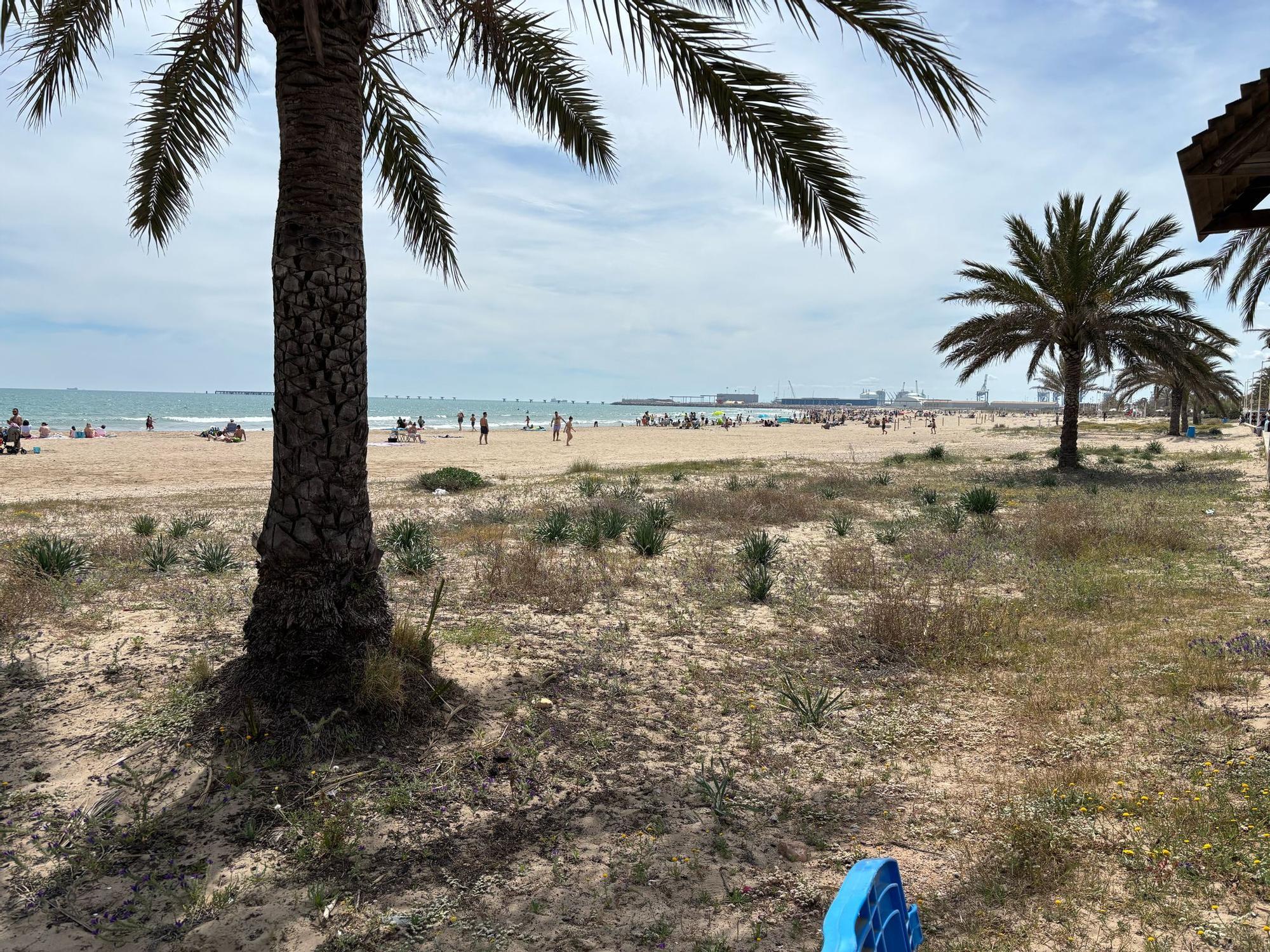 Las buenas temperaturas llenan la costa de Morvedre