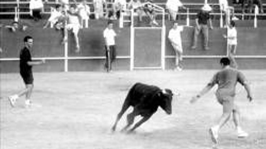 Los festejos taurinos copan el programa de fiestas de Monroy