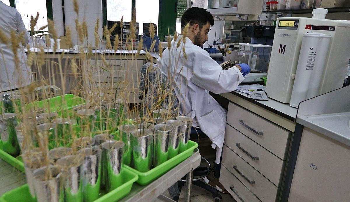 La Fundación Cajasur mantiene colaboración con la Consejería de Agricultura para el fomento de la formación y la investigación agraria.