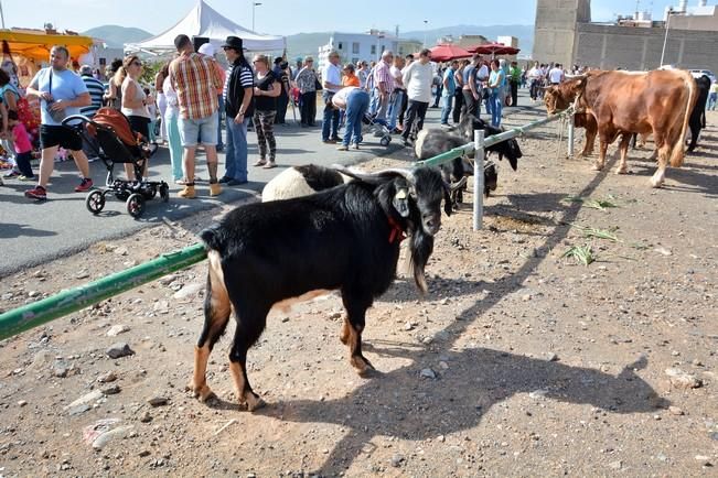 FIESTAS DE SAN GREGORIO