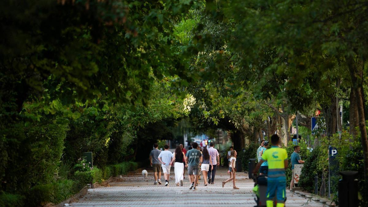 Cánovas acelera su reforma: Cáceres abrirá en septiembre el proceso para definir el futuro del eje central