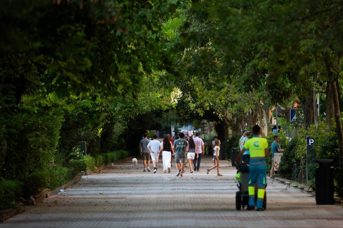 La estampa del Paseo de Cánovas, este jueves.