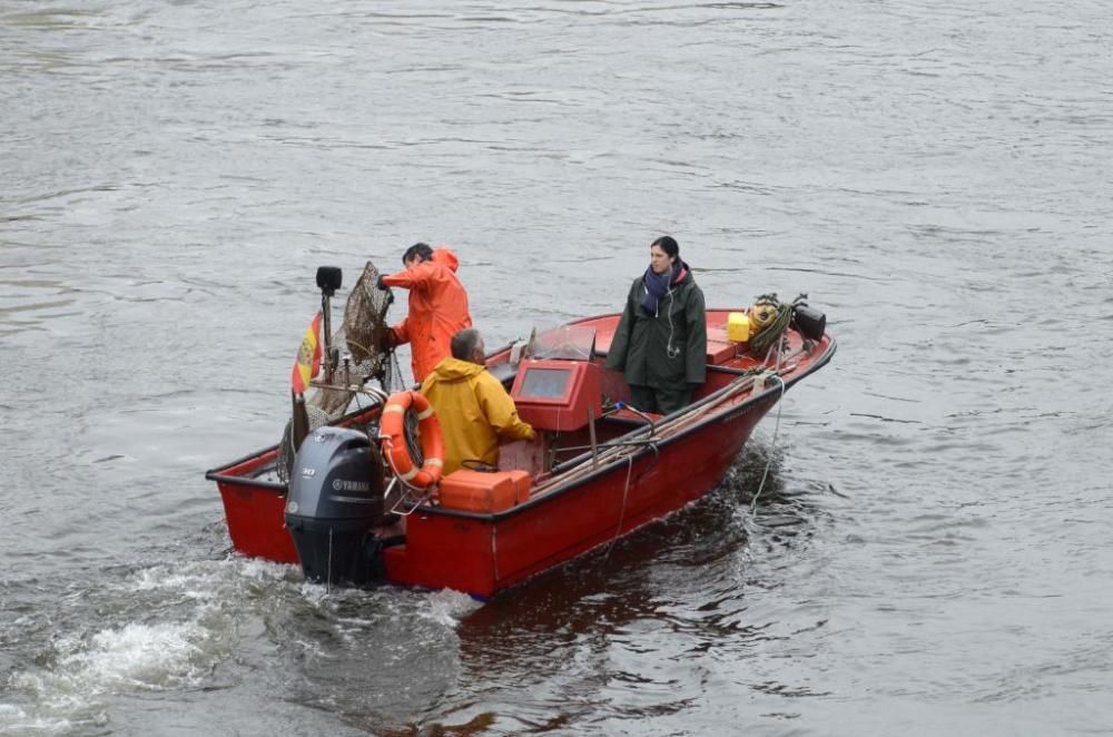 Pesca de lamprea en el río Ulla