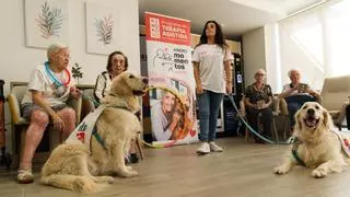 Terapia con perros frente a la soledad: "Los ancianos necesitamos actividades porque estamos mucho tiempo encerrados"