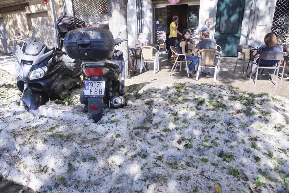 L'endemà de la tempesta que va col·lapsar Girona