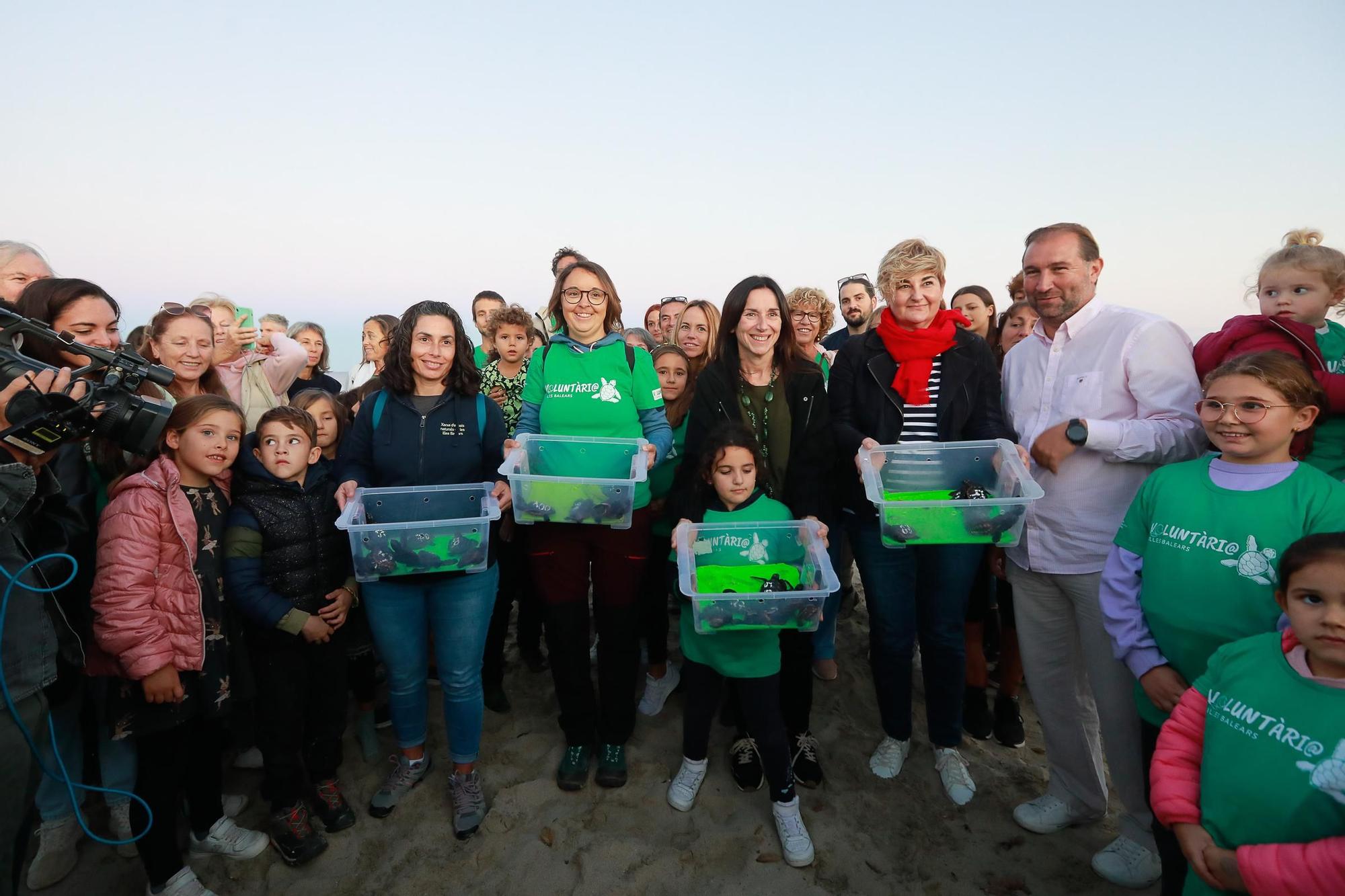 Todas las imágenes de la suelta al mar de las tortugas nacidas en Ibiza