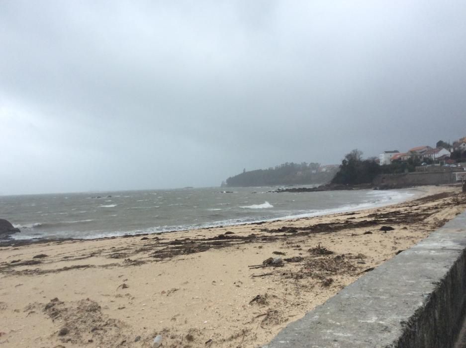 Efectos del temporal en O Morrazo