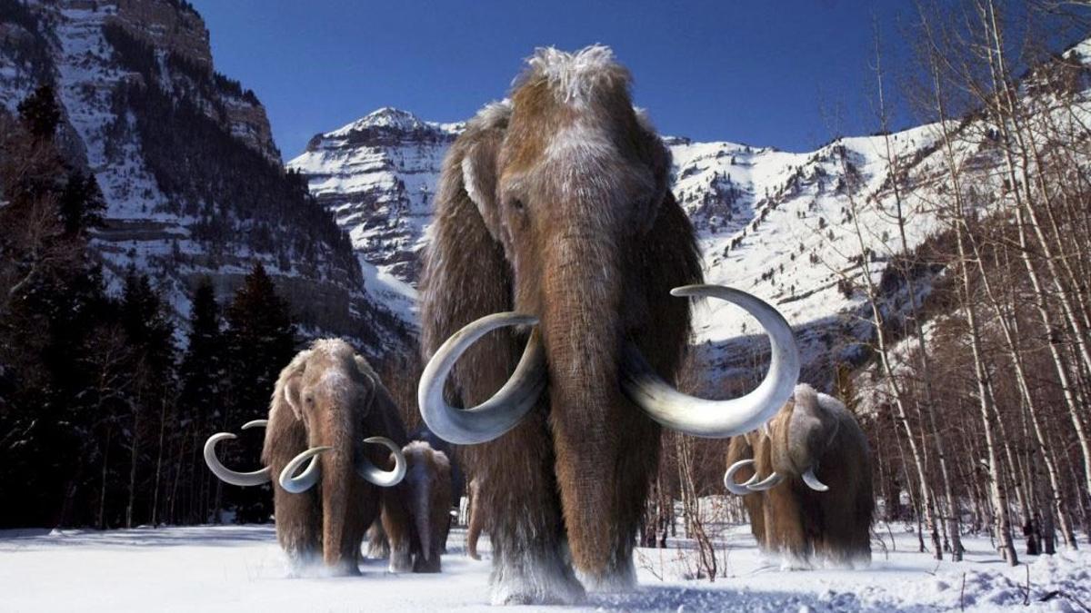 Recreación de una manada de mamuts