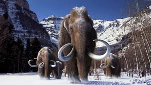 Recreación de una manada de mamuts