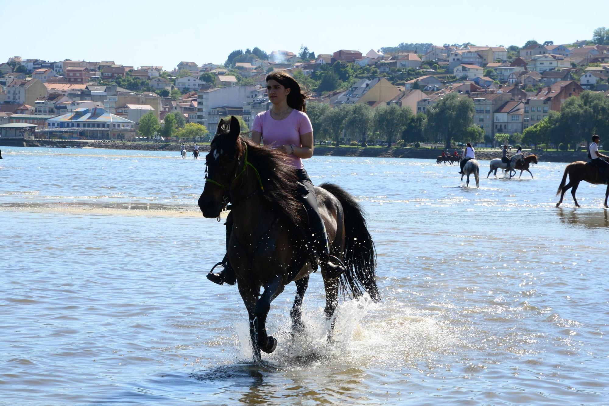 Una espectacular jornada a caballo por Moaña (I)