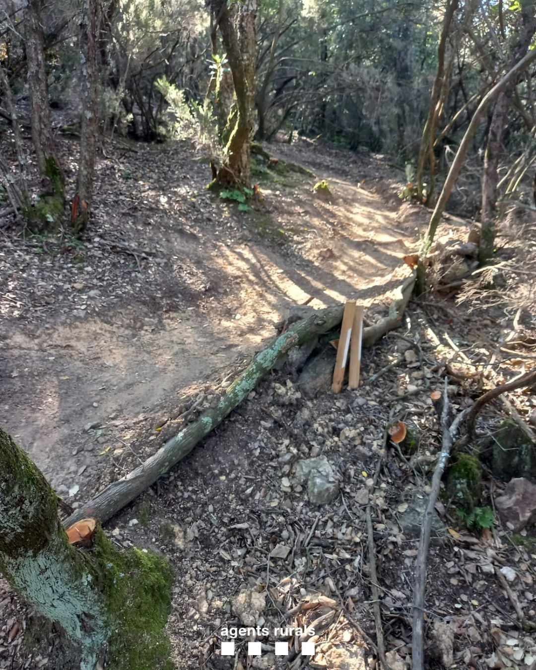 Denunciat per construir un corriol BTT enmig de les Gavarres