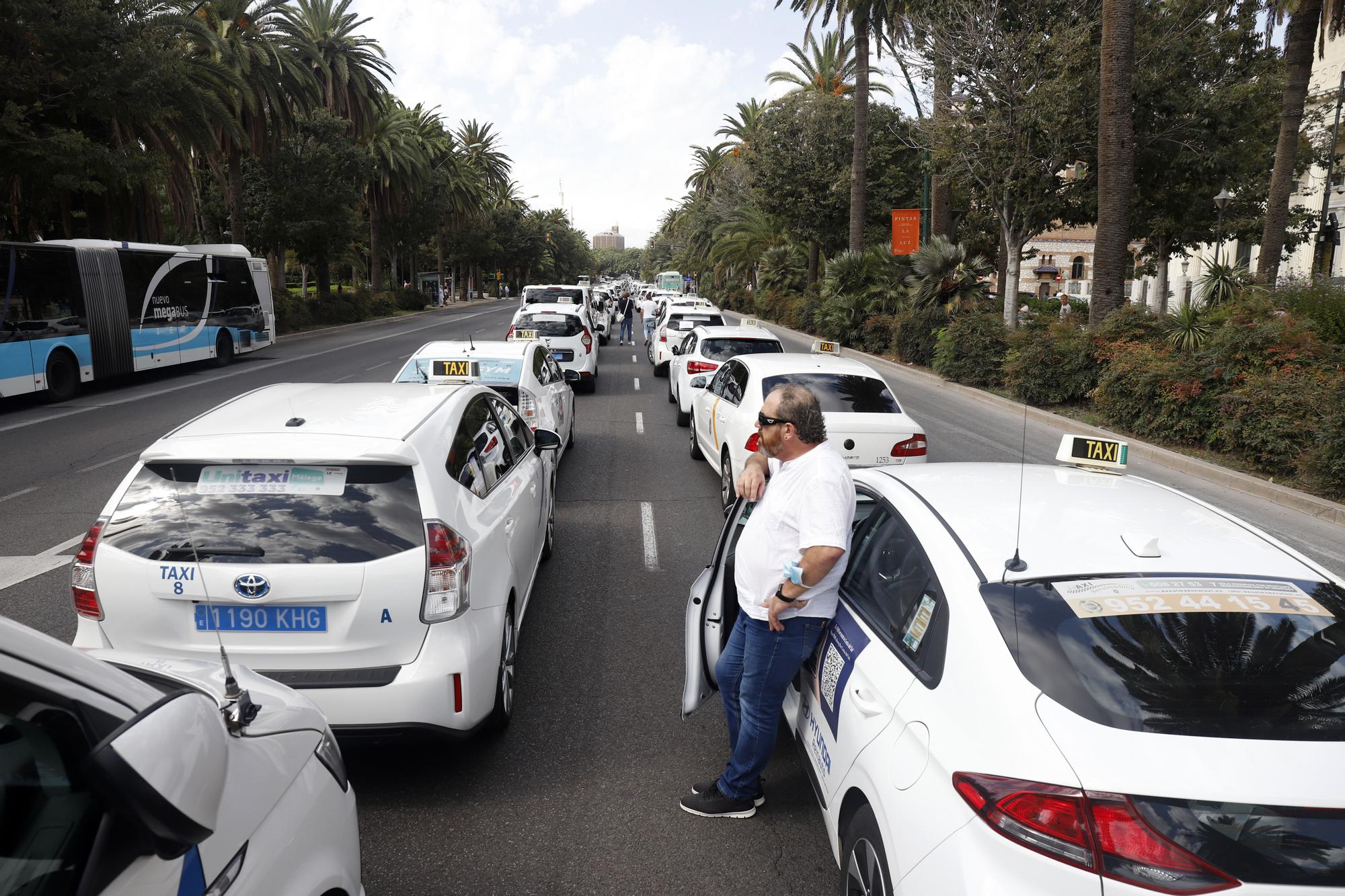 Manifestación del sector del taxi en Málaga contra el intrusismo de las VTC