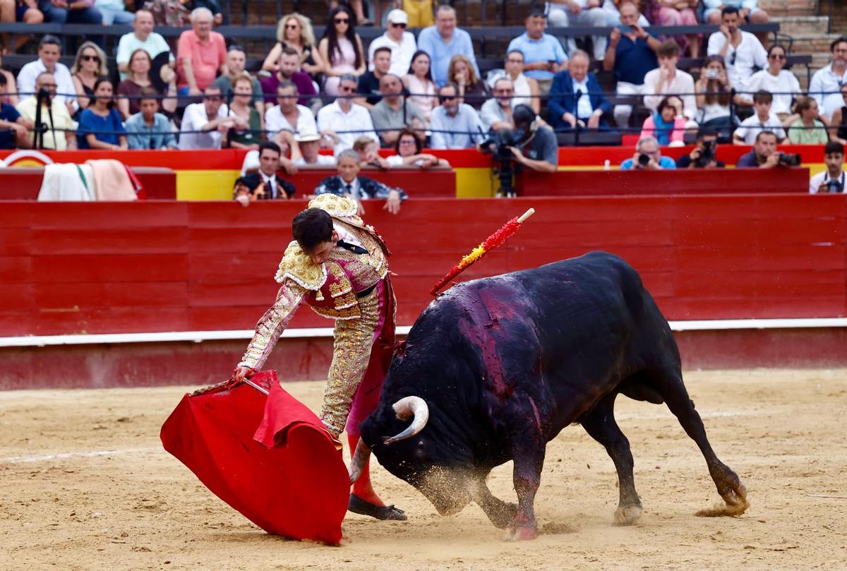 Gran muletazo de Samuel Navalón en València, entregado y conduciendo el viaje del toro.
