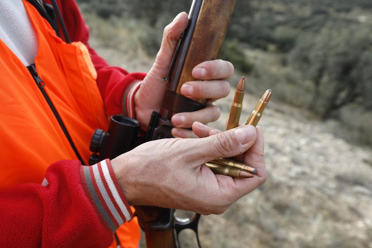 Balas usadas para la caza del jabalí