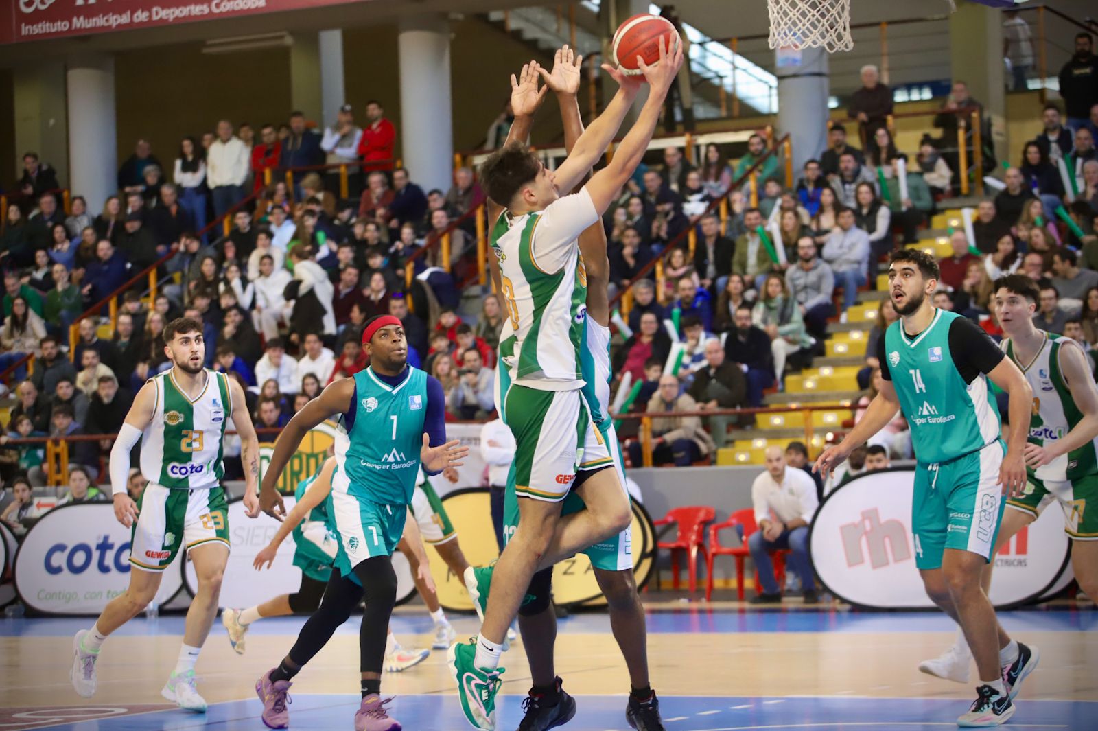 Coto Córdoba CB-UCB Córdoba : las imágenes del partido en Vista Alegre