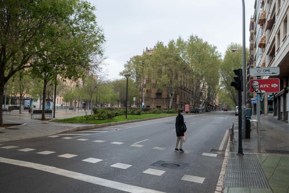 Solo dos de cada diez vehículos circulan por las calles de Palma