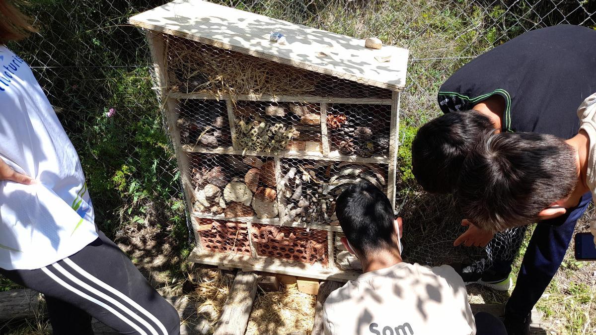 Los hoteles de insectos sirven como refugio para polinizadores y ayudan a combatir el cambio climático al promover la biodiversidad y el control biológico de plagas.