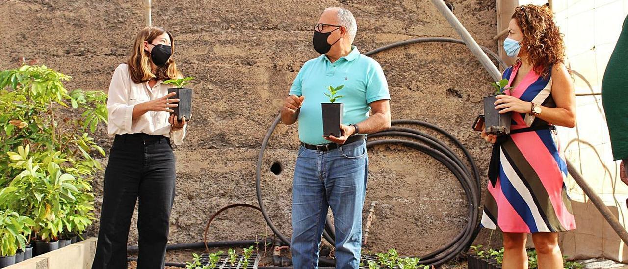 Casimiro Curbelo, junto a la consejera de Desarrollo Rural, Angélica Padilla, y la impulsora del proyecto, Shirly Millo.