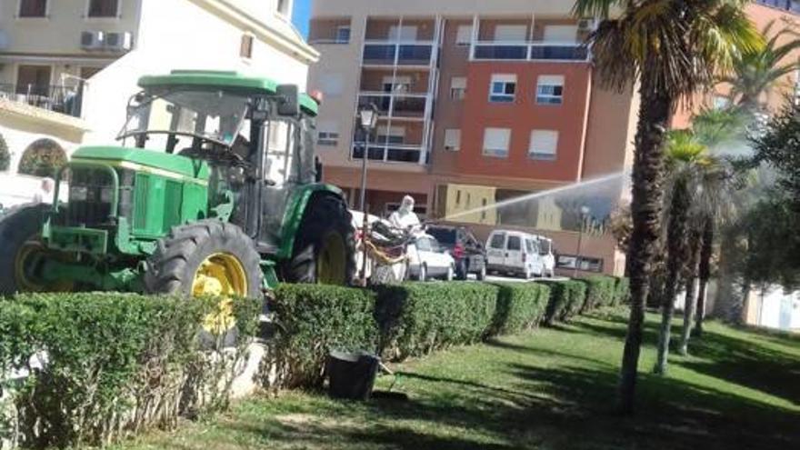 Segorbe actúa contra la aparición del pulgón en parques y jardines