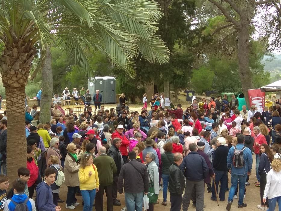 Gran asistencia al Pancaritat del Dia des Puig en Montuïri