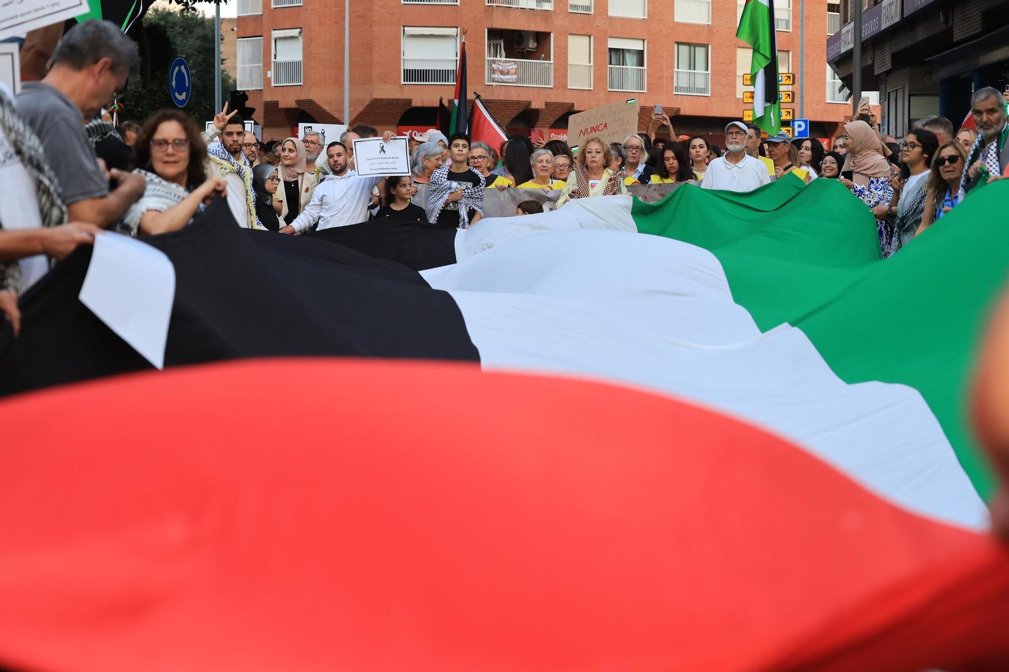 Galería de imágenes: Castellón sale a la calle en defensa de Palestina