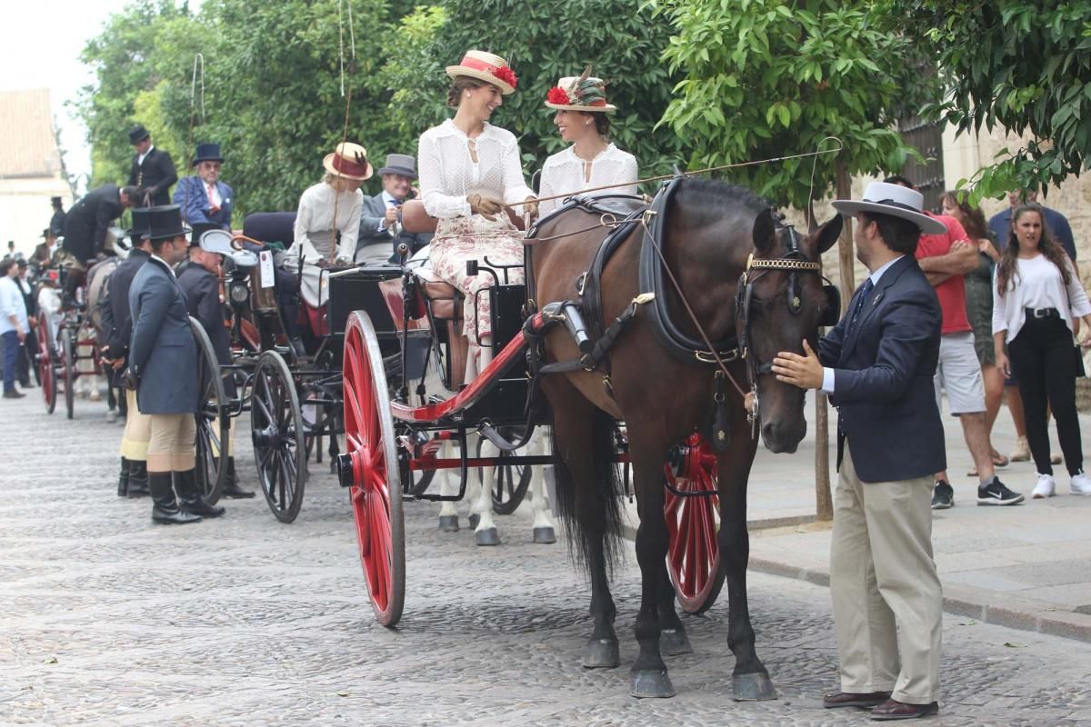 Concurso de atalaje de tradición en Cabalcor