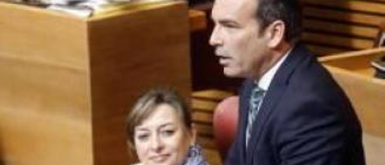 El diputado de Cs Toni Woodward interviene en el pleno.