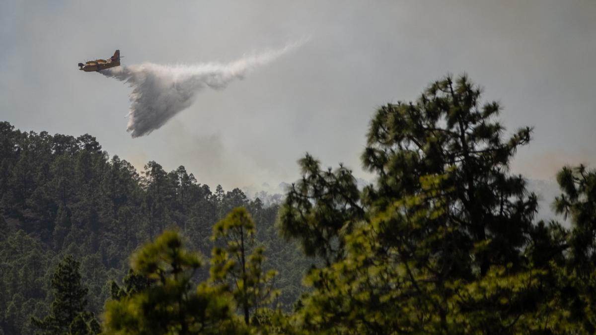 Incendio forestal en Arico