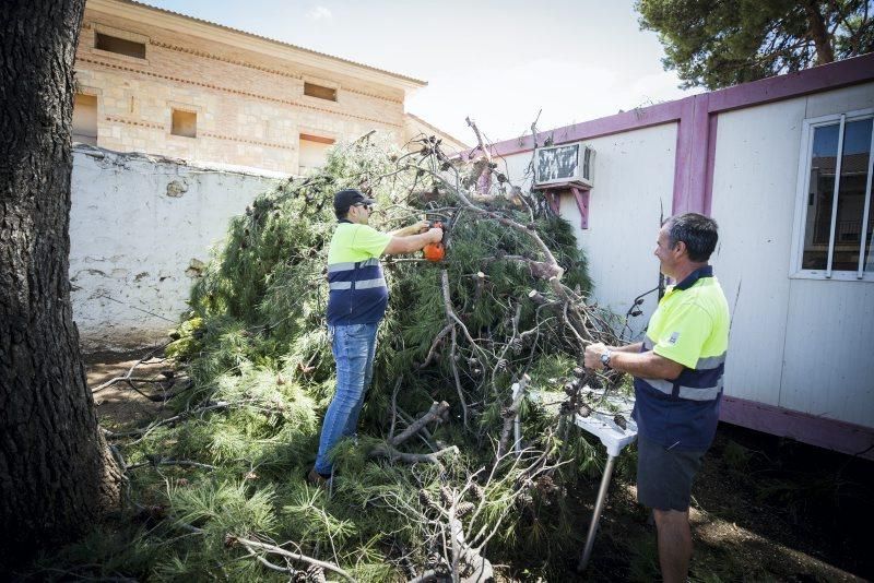 Efectos de la tormenta en Longares