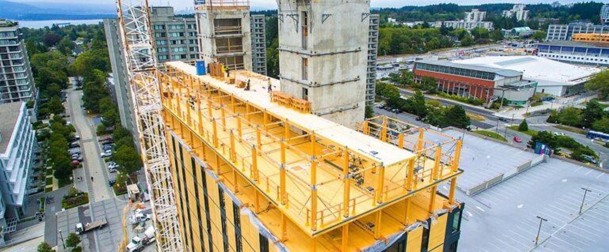 Volver a la madera para construir edificios: nuevo objetivo de la ciencia