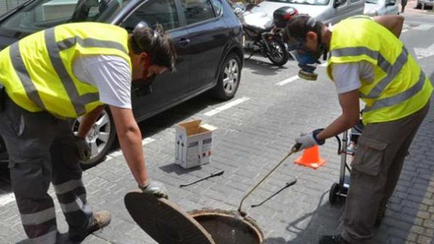 Dos operarios actúan en una alcantarilla de una calle del municipio.