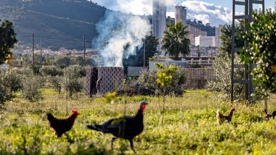 Benidorm pone coto a las quemas de poda para minimizar las molestias por el humo