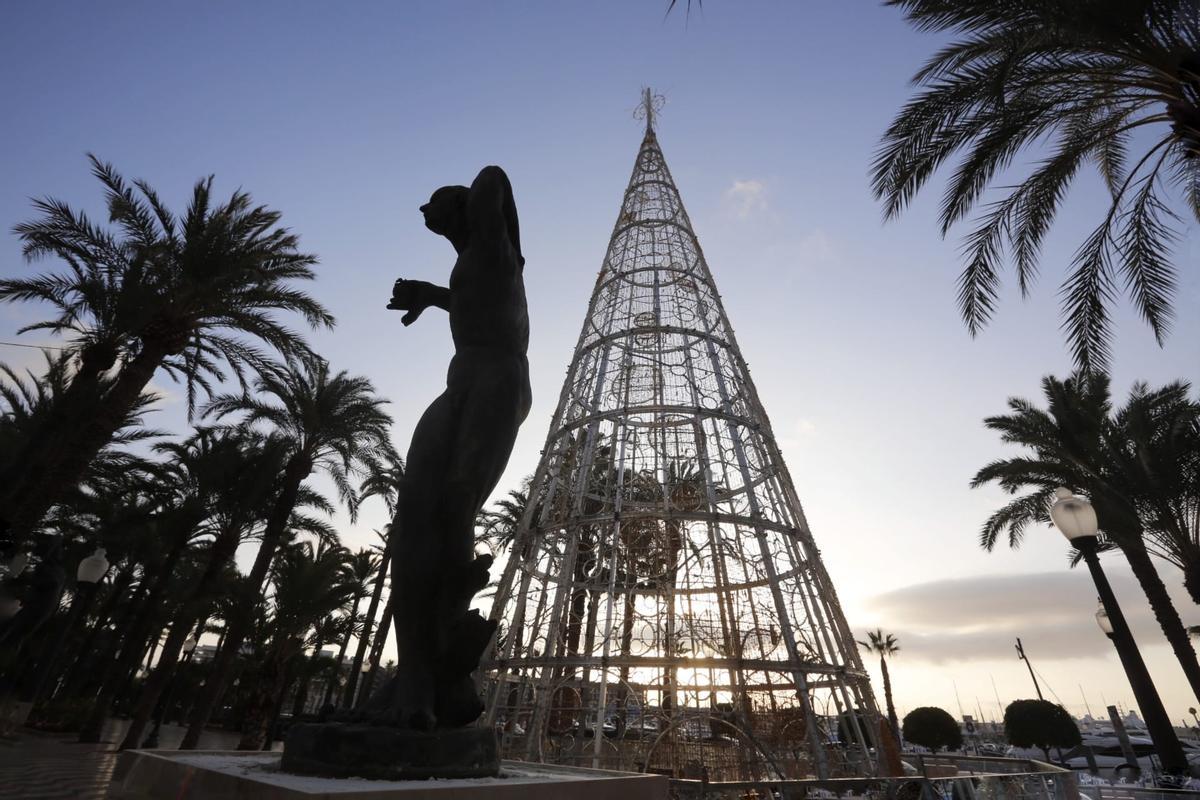 El árbol de Navidad de Alicante, por primera vez en la Explanada El árbol de Navidad de Alicante, por primera vez en la Explanada