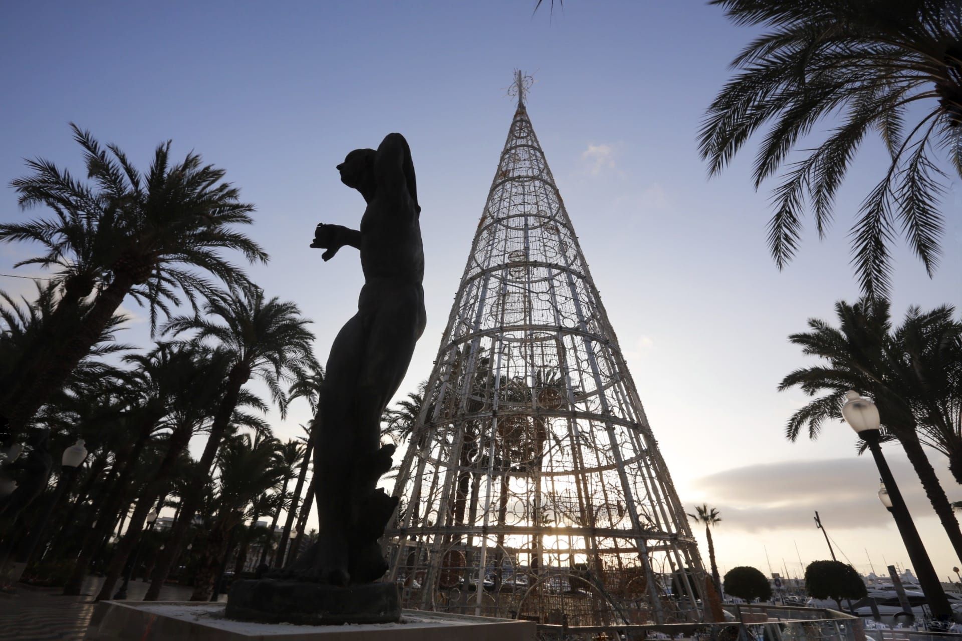 El árbol de Navidad de Alicante, por primera vez en la Explanada