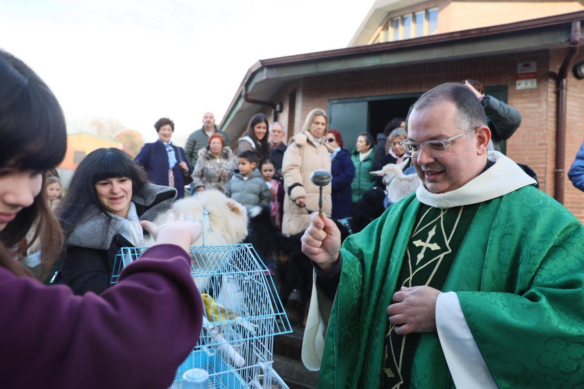 La bendición de animales en La Magdalena, en imágenes
