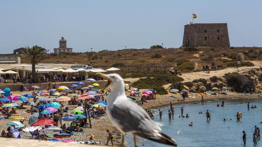 ¿Y si la Unesco declara Tabarca Reserva de la Biosfera?