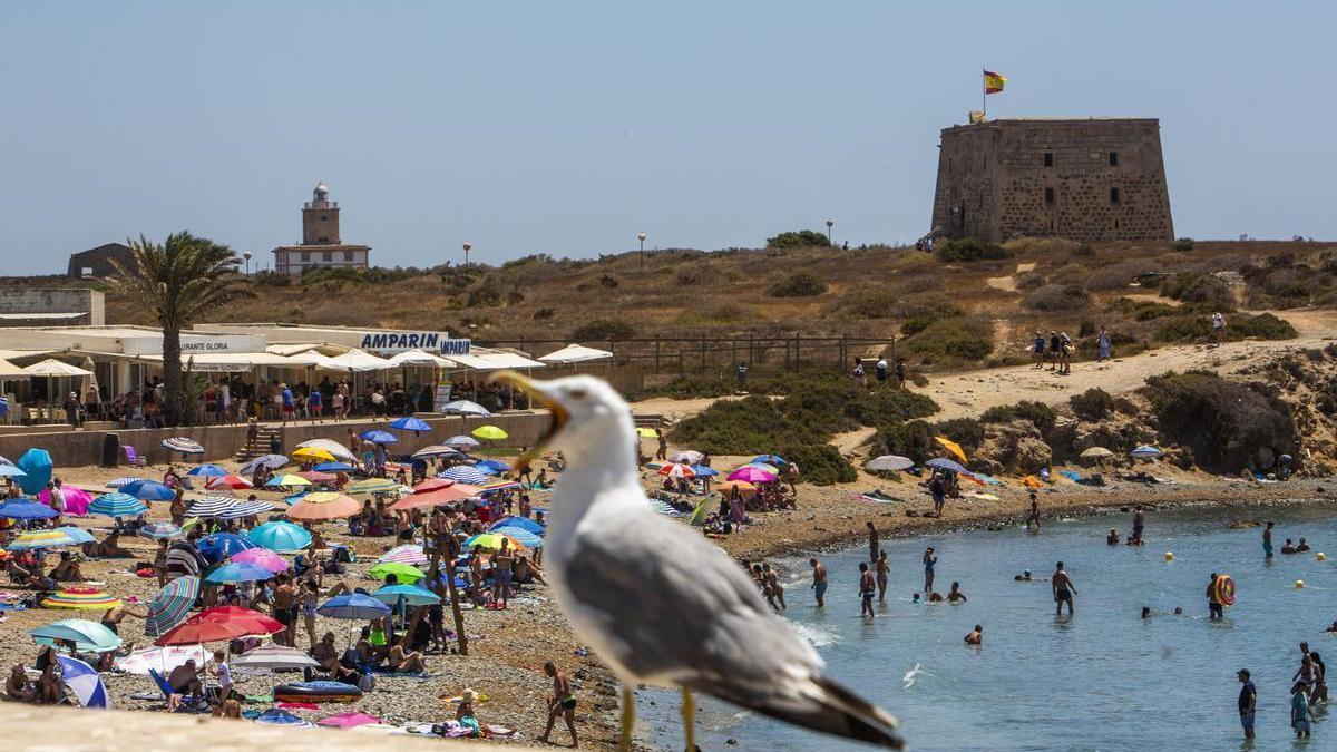 Imagen de la isla de Tabarca, este verano