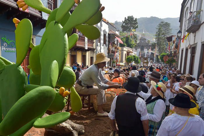 Carretas y grupos en la romería del Pino