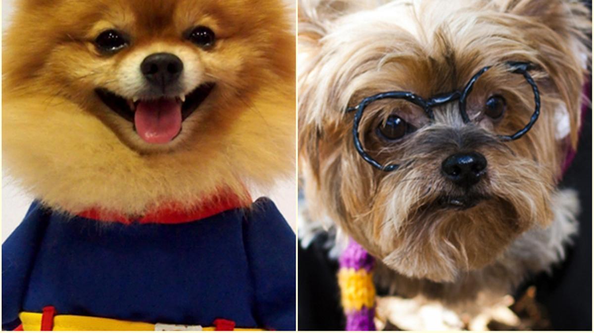 Los disfraces más originales