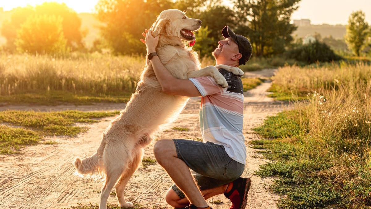 Un perro abrazando a su cuidador.