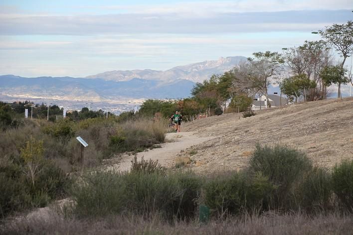 San Jorge Dragon en La Alcayna