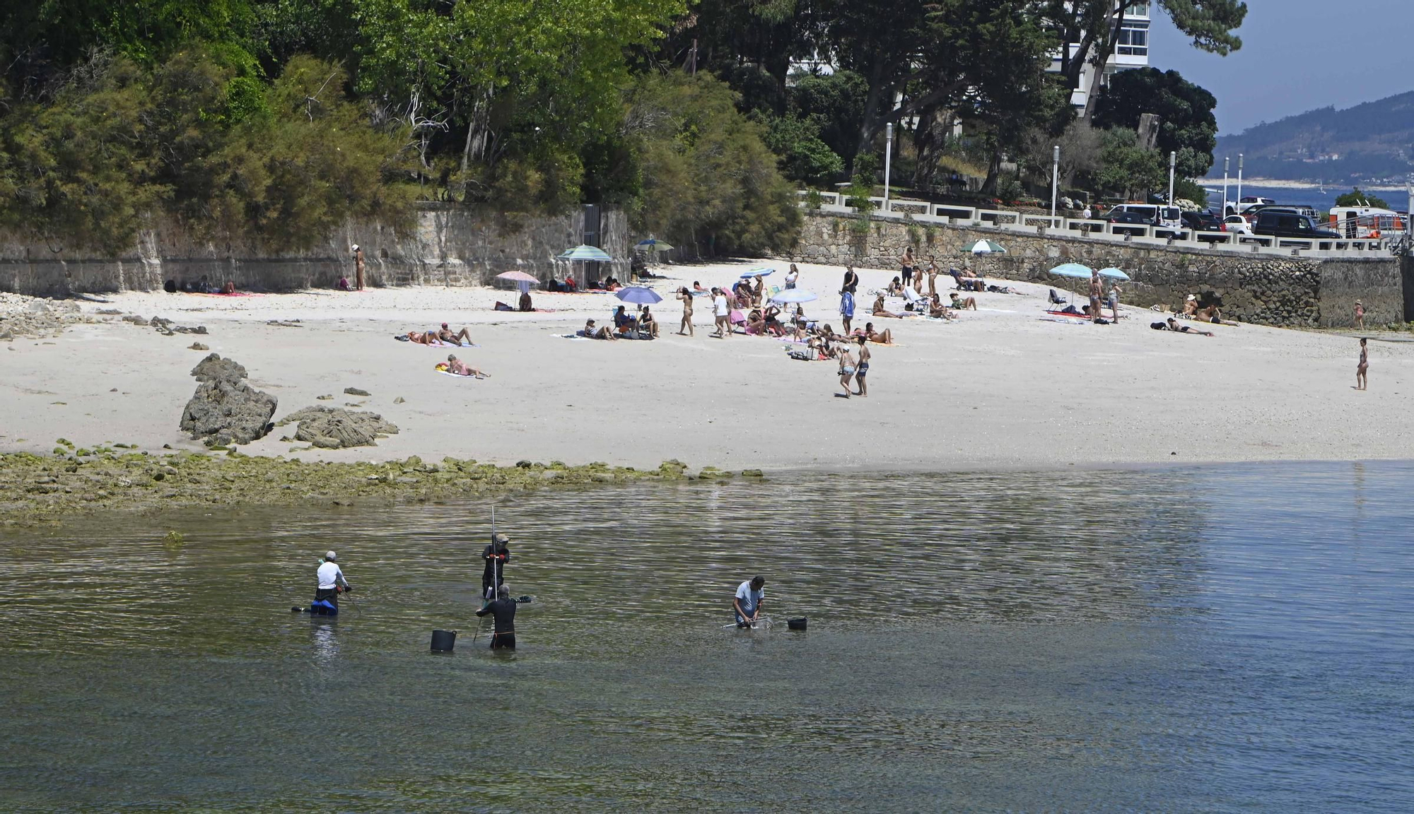 Mariscadores en Toralla