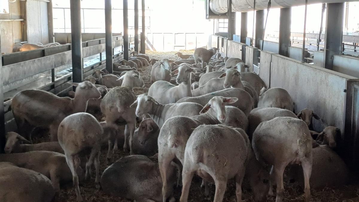 Imagen de las instalaciones de Quesos Ruperto.