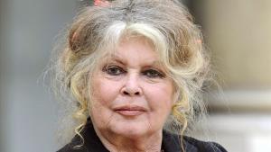 zentauroepp41761472 files  this file photo taken on september 27  2007 shows fre181226092851