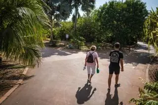 Fundación Cepsa y Santa Cruz ofrecen visitas gratuitas y guiadas al Palmétum