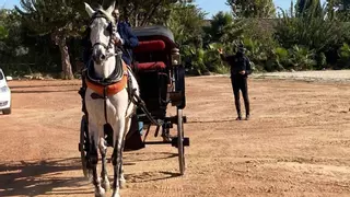 Denunciado el conductor de un coche de caballos por llevar pasajeros en horas prohibidas por el calor