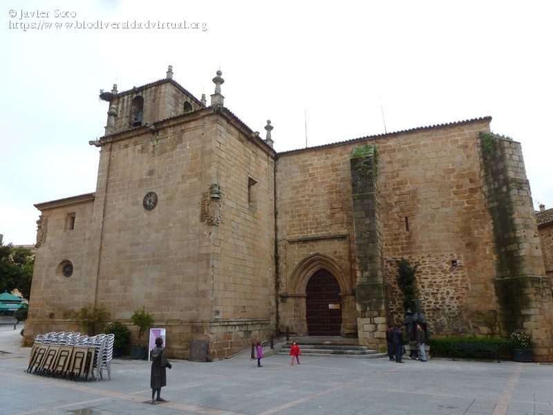 Cáceres: las iglesias de San Juan y Santiago