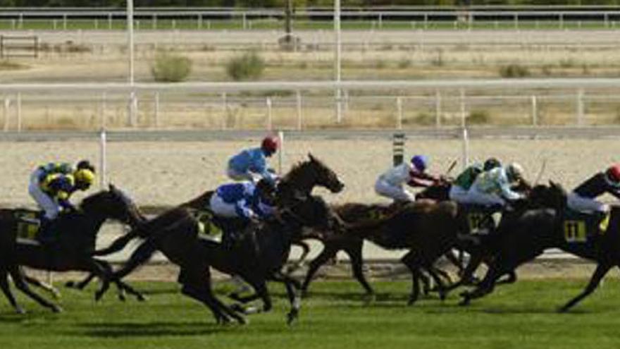 Una carrera en el hipodrómo de la Zarzuela.