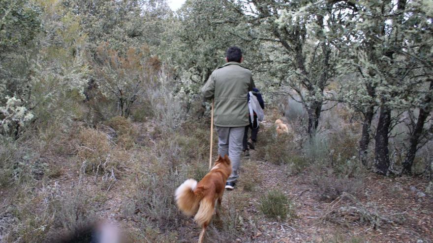 Sorpresa entre los vecinos de Peque y Santa Eulalia por el cultivo de marihuana