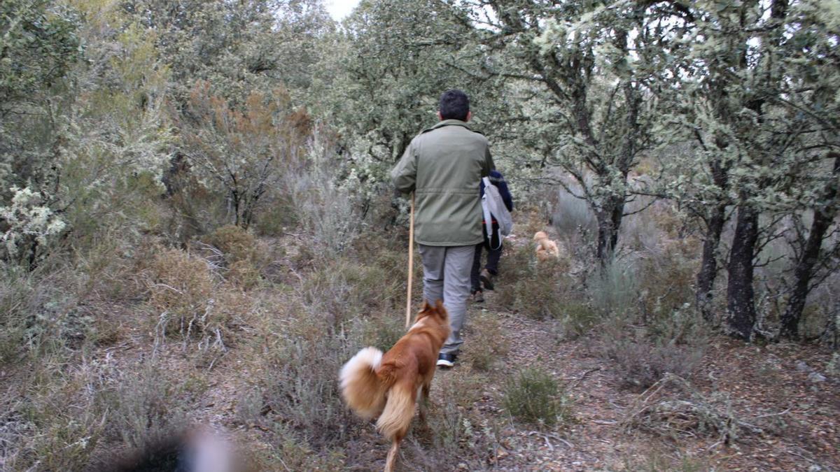 Una parsona pasea por la zona donde los cazadores encontraron la marihuana. | A. S.